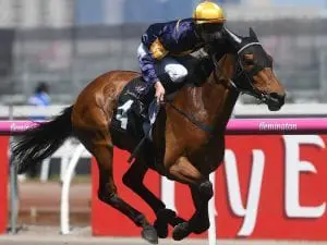 Sydney Cup runner-up to miss the spring Sydney Cup runner-up to miss the spring
