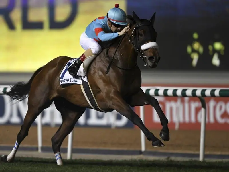 Star Japanese filly Almond Eye heads the list of horses invited to the Cox Plate. almond eye