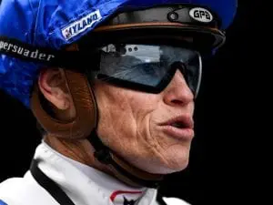 Williams focused on another premiership Williams focused on another premiership