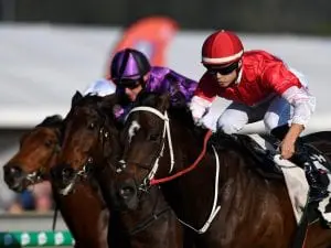 Bergerac finds form to win Ipswich Cup Bergerac finds form to win Ipswich Cup