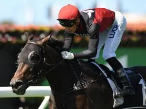 Guthmann-Chester rewarded for Manaya ride Guthmann-Chester rewarded for Manaya ride