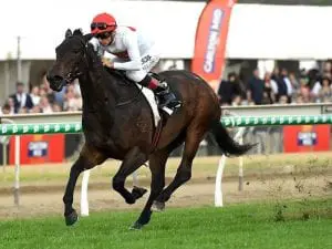 Another Waterhouse win for Michael Cahill Another Waterhouse win for Michael Cahill