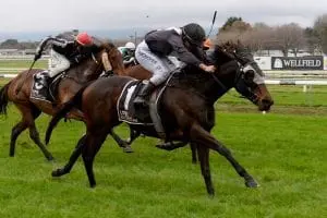 ROSEWOOD - MANAWATU 15-6-2019 RACE IMAGES PHOTO PETER RUBERY Rosewood