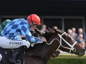 Funstar finds gap to win again at Randwick Funstar finds gap to win again at Randwick