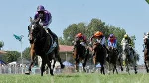 SAMPSON - MARTON CUP 5-12019 RACE IMAGES PHOTO PETER RUBERY Sampson