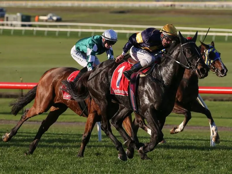 Jockey Damien Oliver rides Mr Marathon Man to victory