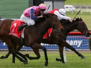 Can’t Be Done wins narrowly at Sandown Can't Be Done wins narrowly at Sandown