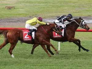 Jungle Edge sprints to Sandown victory Jungle Edge sprints to Sandown victory