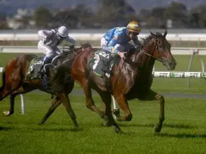 Relaxed Marcel From Madrid up for Sandown Relaxed Marcel From Madrid up for Sandown
