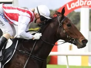 Global Sanction after second Sandown win Global Sanction after second Sandown win