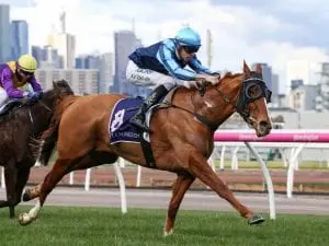 Spanner Head in form for Sandown race Spanner Head in form for Sandown race