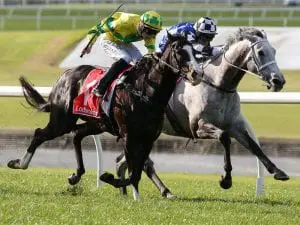 Sandown double for Chris Waller stable Sandown double for Chris Waller stable