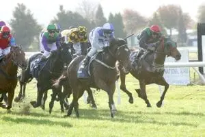 Sleeping Beauty Rotorua Stakes 11.5.19 TD Sleeping Beauty