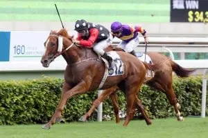 Touch Of Luck Purton. Touch Of Luck
