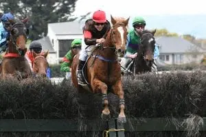 WHO CAN TELL - MANAWATU 15-6-2019 RACE IMAGES PHOTO PETER RUBERY Who Can Tell