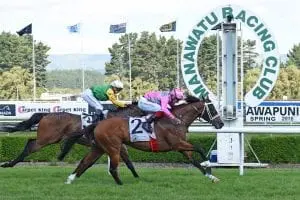 Spring targets beckon Wyndspelle Wyndspelle