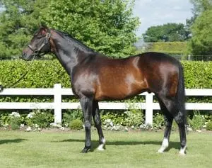 Tavistock