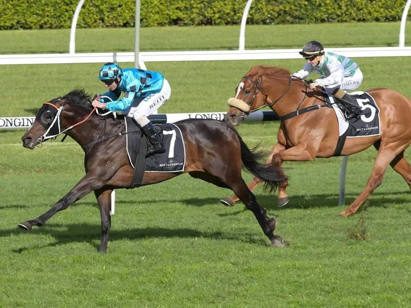 Sesar wins at Randwick.