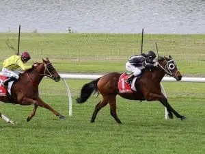 Bell has confidence in apprentice Poy Bell has confidence in apprentice Poy