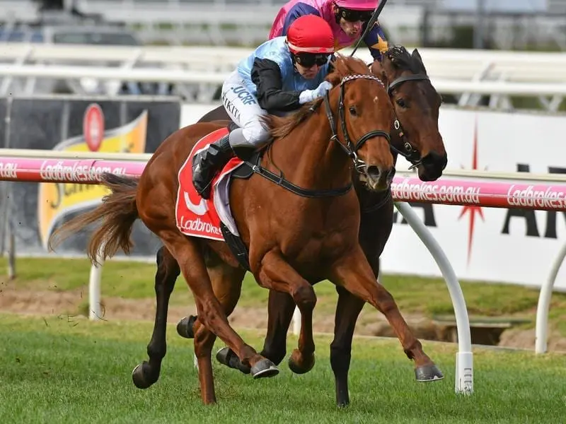 Star Surprise has made it two wins from three starts with a determined victory at Caulfield. Star Surprise.