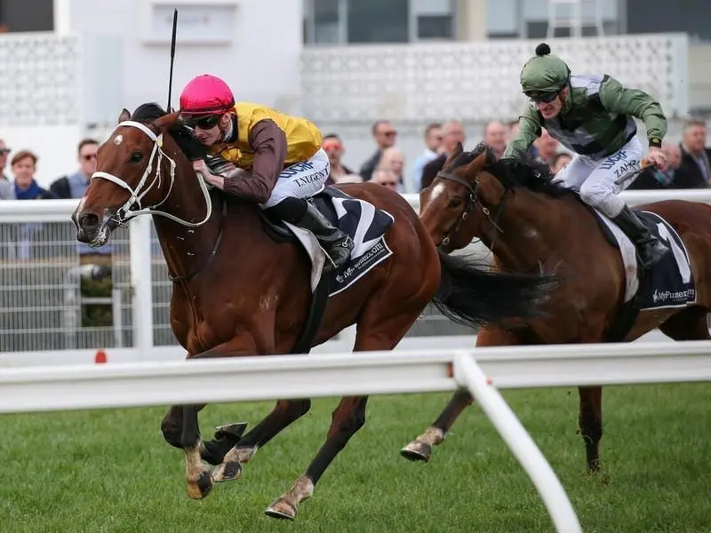 Tavirun makes it three wins in a row at Caulfield.