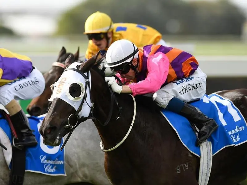 Jockey Ron Stewart rides Kim Alicia to victory at Doomben.