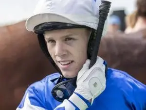 Bayliss brings weight relief to Shogun Sun Bayliss brings weight relief to Shogun Sun