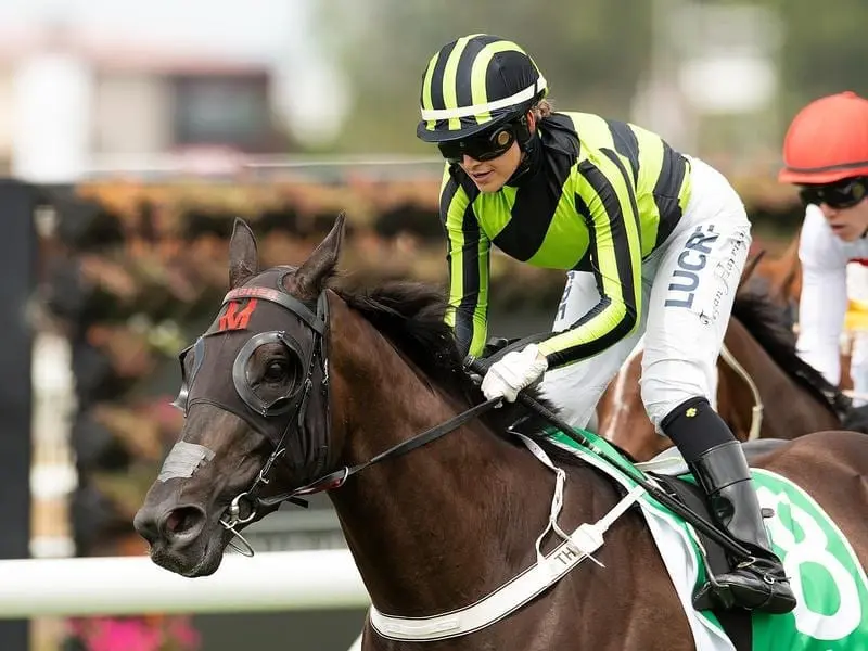 doomben preview