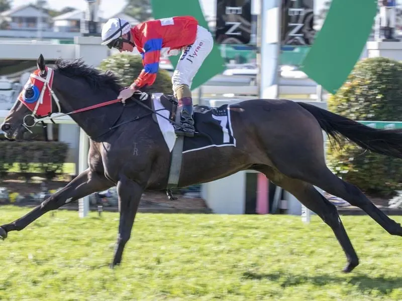 Victory Eight winning at Doomben.