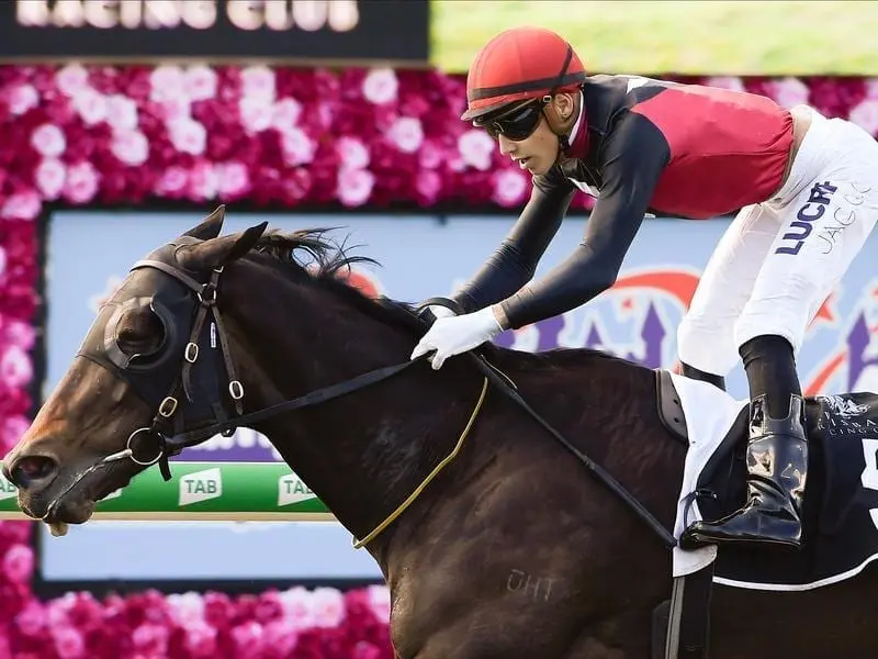 Manaya wins at Eagle Farm.