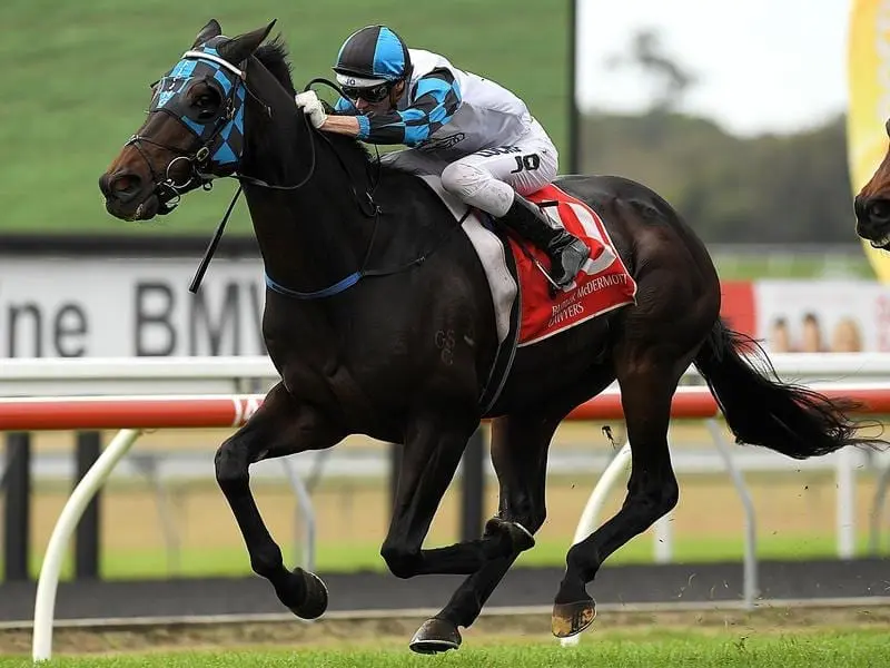 Ruling Dynasty is expected to improve sharply at his second run after a spell at Eagle Farm. Ruling Dynasty.