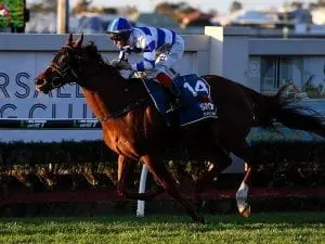 Conditions fit Birchley-trained gelding Conditions fit Birchley-trained gelding