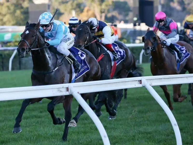Already a Listed Race winner in WA, Reykjavik has recorded another at Flemington. ockey Linda Meech rides Reykjavik to victory at Flemington.