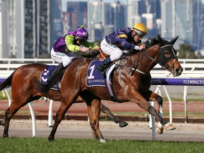 Jockey Damien Oliver rides Buffalo River to victory at Flemington.