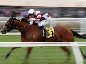 Halvorsen out to upstage older rivals Halvorsen out to upstage older rivals