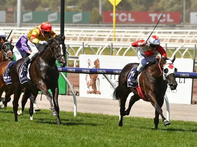 Scales Of Justice is among 19 horses entered to take on star filly Mystic Journey (r) at Caulfield. mystic journey heads bletchingly entries