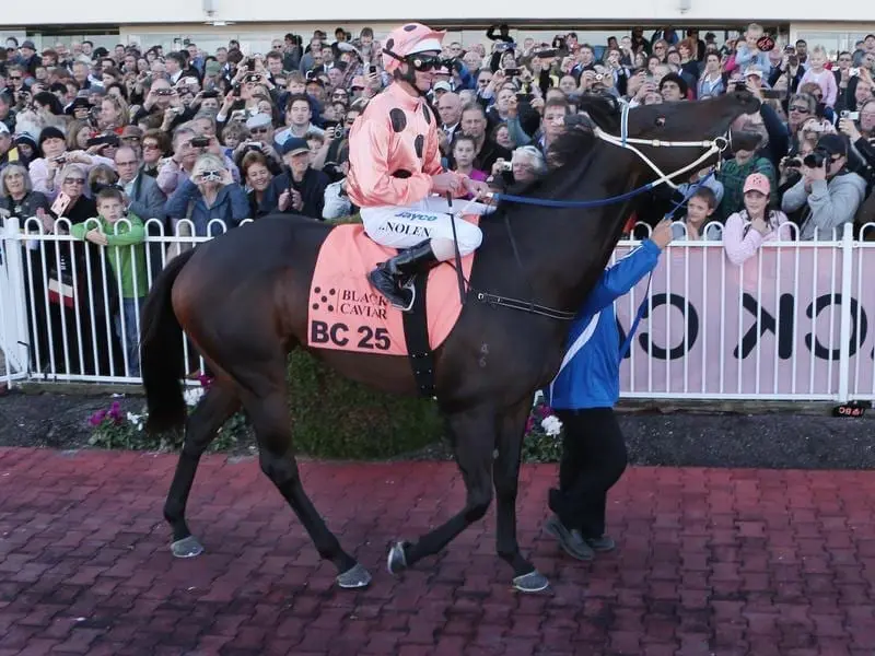 Black Caviar is a two-time Schillaci Stakes winner.