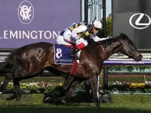 Cumani thinks Future is bright for stayer Cumani thinks Future is bright for stayer