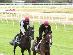 Werribee to open early for spring carnival Werribee to open early for spring carnival