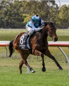 Hapaira winning at Murtoa on Monday Hapaira