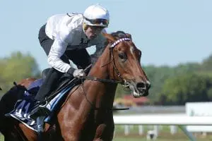 Lot 414 Burgundy - Dancing Forever 3825 Saone