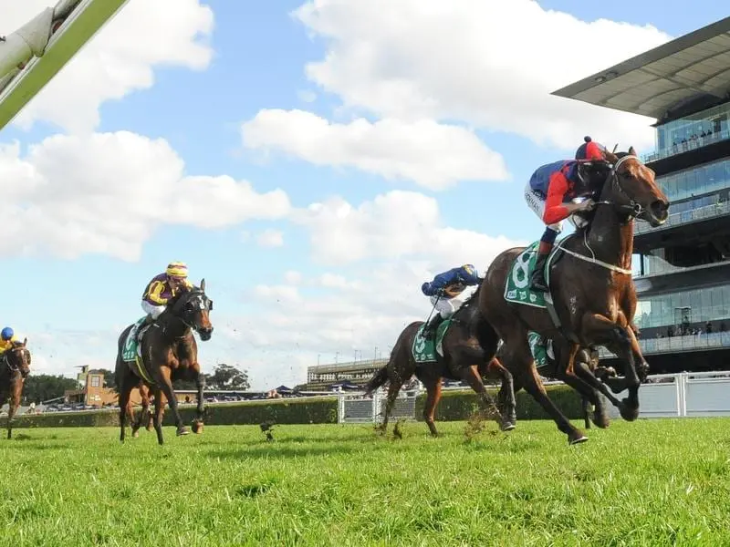 Winter star Sir Elton will have the final start of his campaign when he runs at Randwick. sir elton