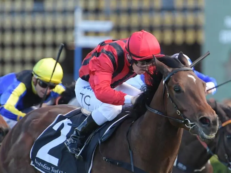 Jockey Tim Clark rides Rule The World to victory at randwick.