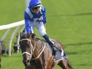 Bowman returns for post-Winx era Bowman returns for post-Winx era