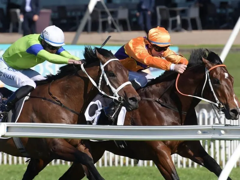 Spend (right) wins at Rosehill.