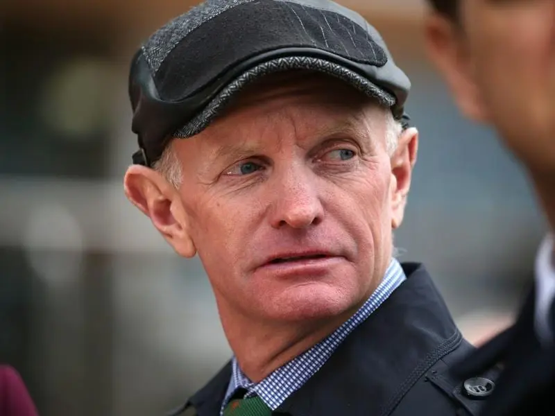 Trainer Phillip Stokes is keen to test Indiscretion at Sandown with a view to the spring. indiscretion