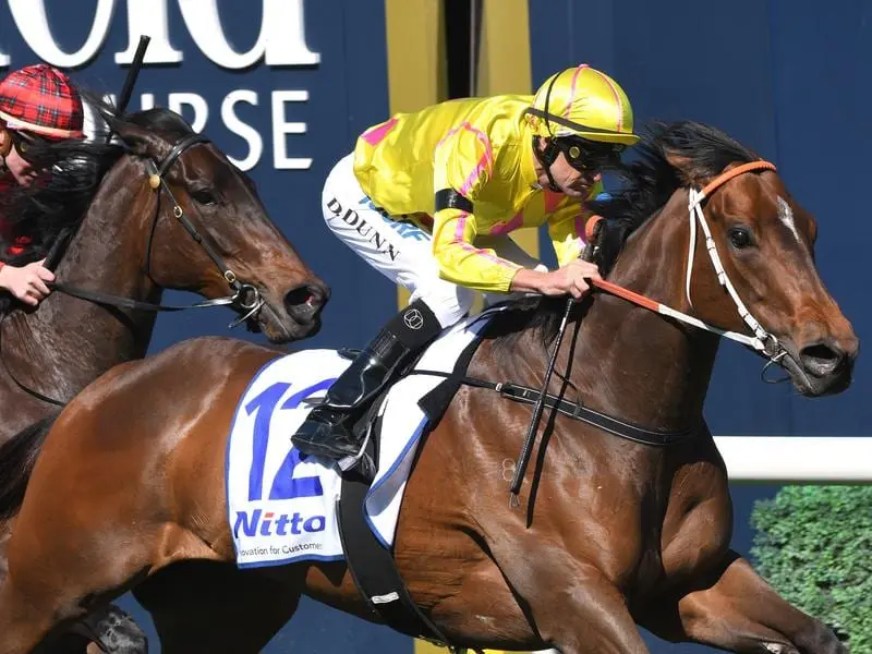 Dawn Dawn wins at Caulfield.