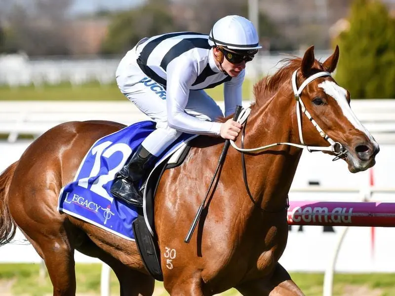 Pippie wins at Caulfield.