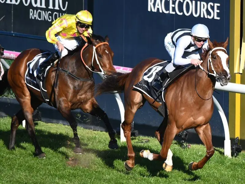 Pippie wins the Cockram Stakes at Caulfield.