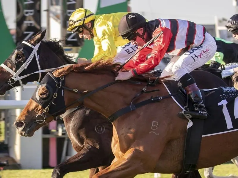 Tokoriki Lad wins at Doomben.